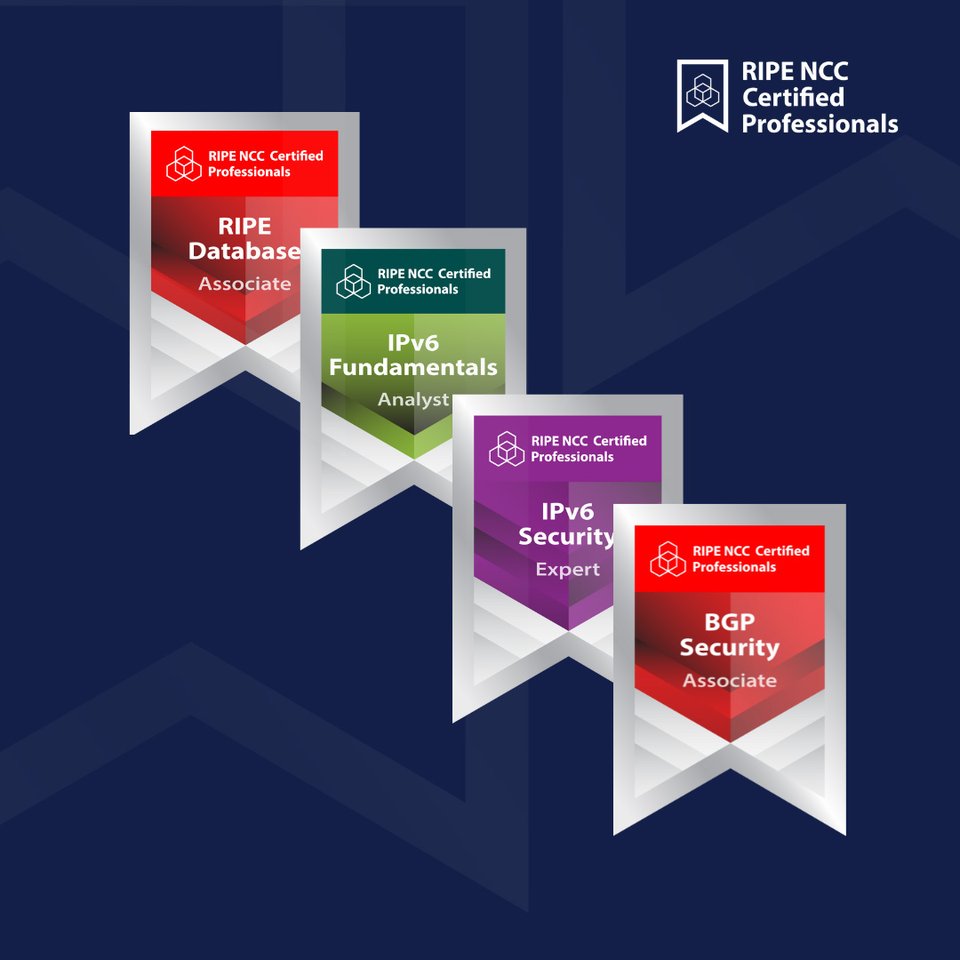 Certified Professionals all badges