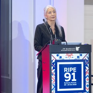 Photo taken from the RIPE 91 meeting