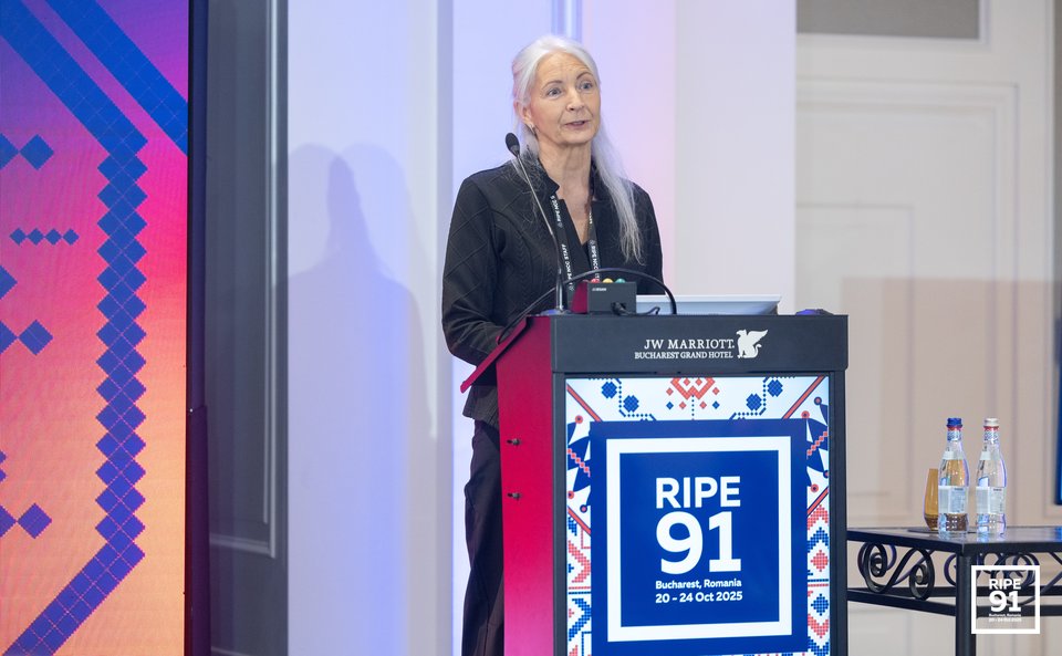 Photo taken from the RIPE 91 meeting